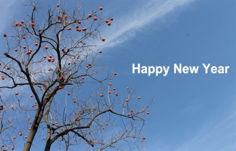 Happy New Year 2014 from gooood