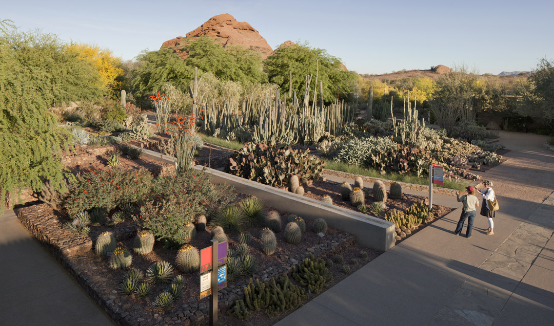 2013 ASLA GENERAL DESIGN AWARD OF HONOR Ottosen Entry Garden Desert