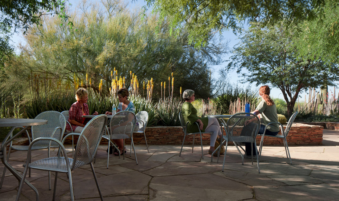 2013 ASLA GENERAL DESIGN AWARD OF HONOR Ottosen Entry Garden Desert