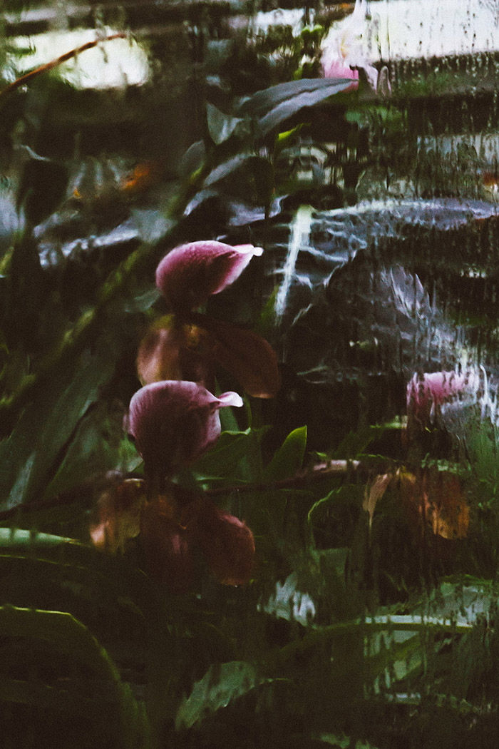 /wp-content/uploads/2014/06/_c_FUYreFhin24wLbHyL3pRO5K-5YYlhiX4bPkUOLBbjLOB1Adw5jd4BgNYwivkdl61o5pBrRaFv_aMETRALtaRJVfUjq36vja2.jpg