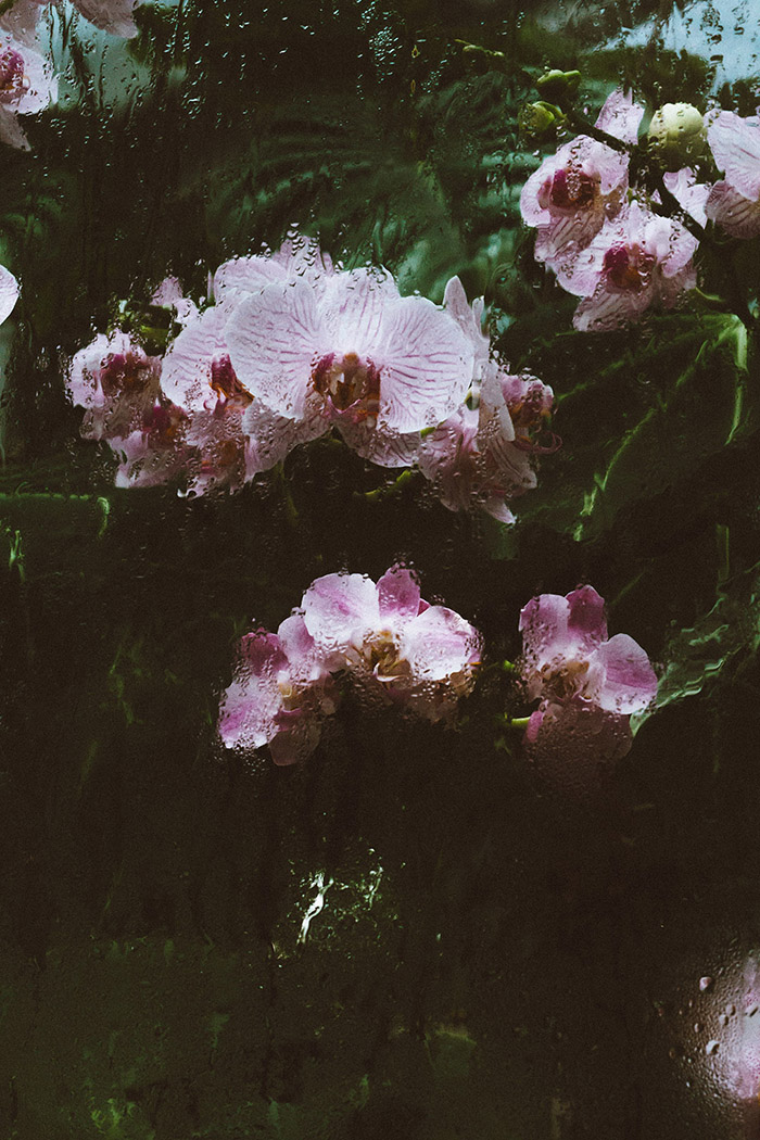 /wp-content/uploads/2014/06/_c_Kyk4C7Spg1234A-mwp94mrgfaGuC4e8l7sDc71AoU9Ke0WF-HFi5xVS1QLfx_eHR7rE28neB1wgEO3_Dw3ZTDn9re_bQpNts.jpg