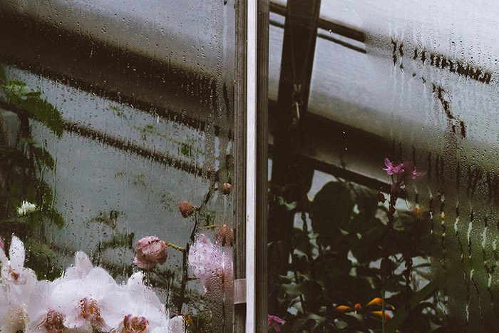 /wp-content/uploads/2014/06/_c_UI6Pb-5mAI7cQmlIkpc5GnQvZ8E-8GoeAjSmhYtlwPgGsJHUVqvjMRuq27UK-rIs0_-Of4y-evdggF_n_MMnusI5cD8fItMw.jpg