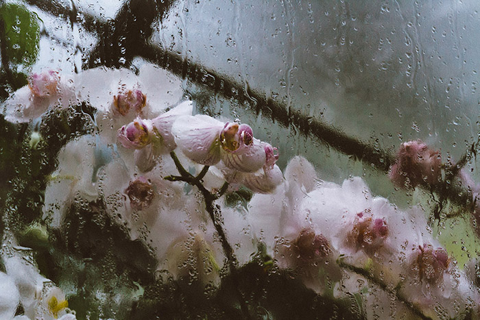 /wp-content/uploads/2014/06/_c_uxLlqGzfNzGPQg4U6Urt4HkYv0w-EcmEbqC8yvrWt3YISo8wfNUco08y0NiWIfFDj-l4hCAW-5rNrnFzZ1e-wk0VpUklmJSX.jpg