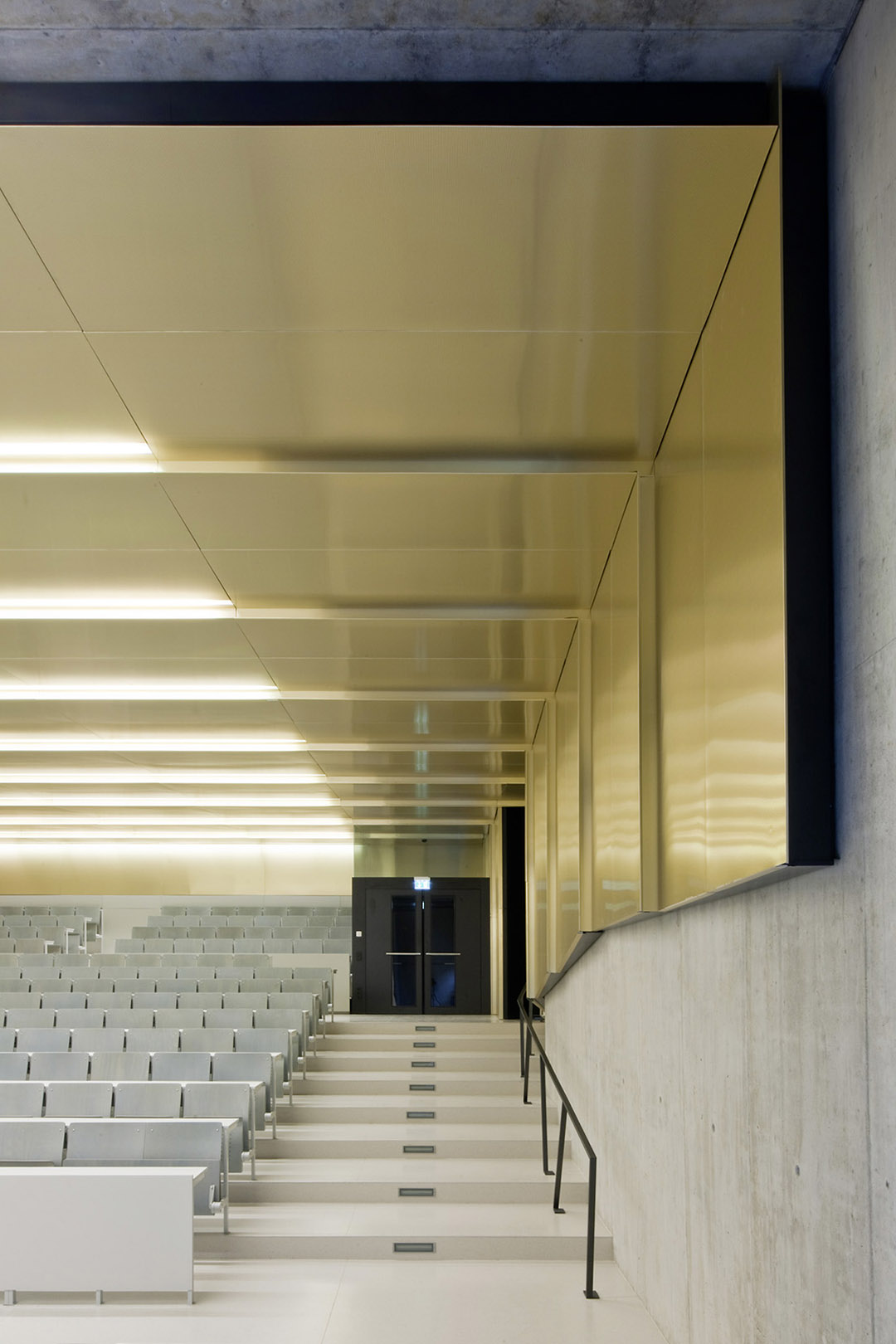 whringerstrasse 29传播学与信息学新楼,奥地利 / nmpb architekten