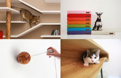 gooood合辑：猫和狗
