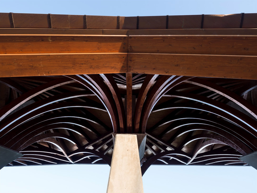 pancho足球学院建筑群,匈牙利 / tamás dobrosi office