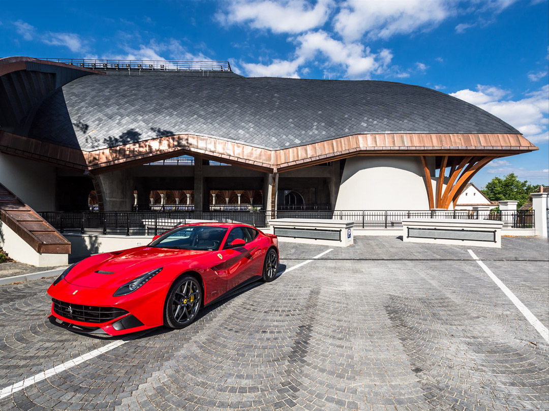 pancho足球学院建筑群,匈牙利 / tamás dobrosi office