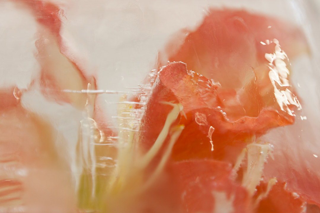 /wp-content/uploads/2014/08/_c_yQa3b0uTcJy4x90eV0zqEHsTQgwYcF8xLJ2LMg11ie3DPjgEsNMda5aT4r8a8vhwxFvOs6vdc4f9C8OFHt7P96NjgcdCgvjS.jpg