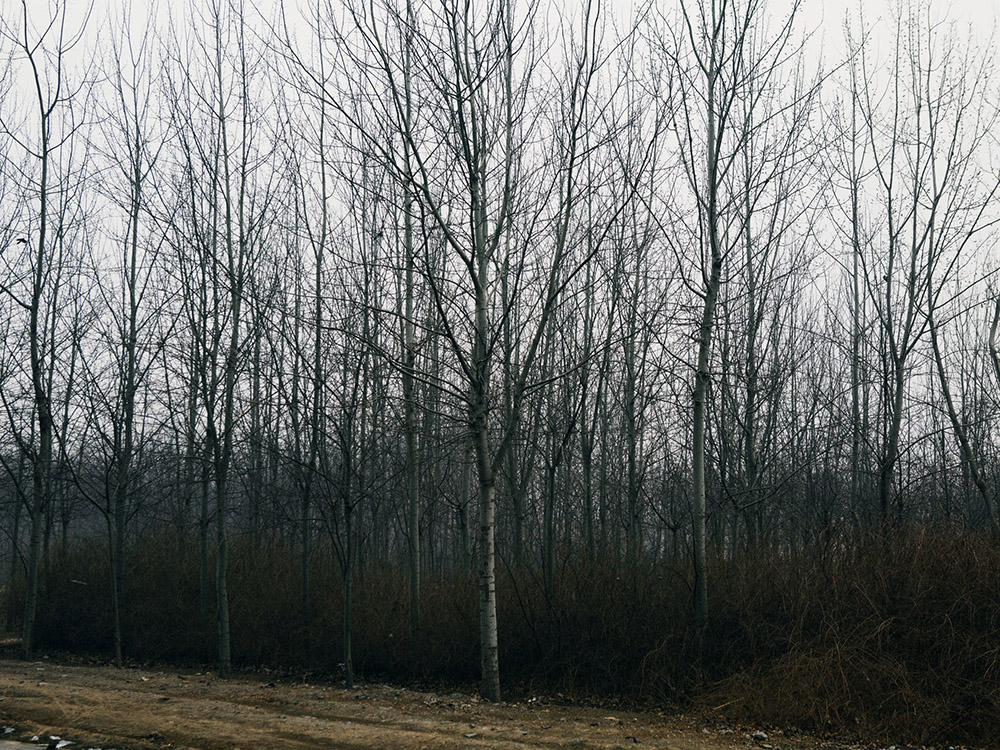 /wp-content/uploads/2014/12/_c_OCev6-q6sw6_C9w9XscZwOMZ3H3qjgbSeoF40hMpGDtiKx9oKvnsADF1_crEzFRfKszXaQjdbZ7kHDzmY0-lpxF3M63U5ghd.jpg