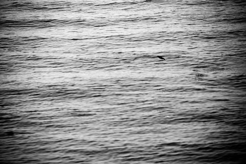 /wp-content/uploads/2015/01/_c_p3V3XTDUQYuTZktT8VWveKY9lNlYbi8ikZv7BA7T3Xvb-3yaXG86XxL3QO-dBHmFhWEH98DvgZwwV6cNKZ9mBCV3_toZZDDI.jpg