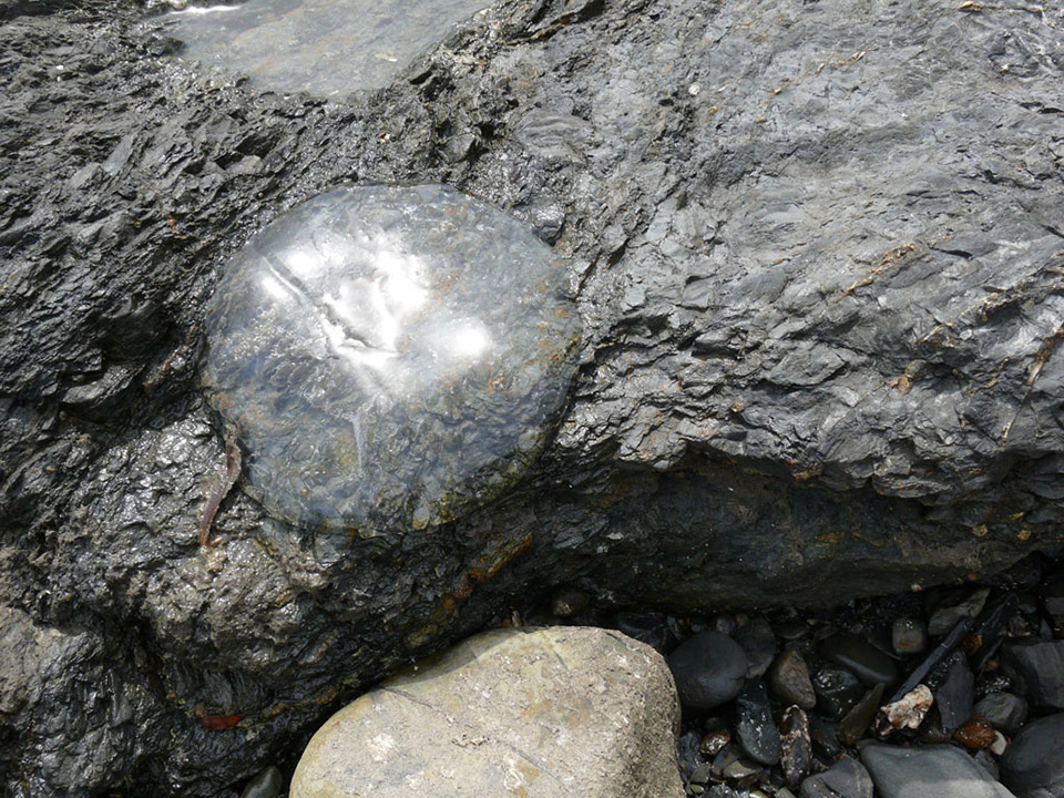 瓶子与石头 / martín azúa