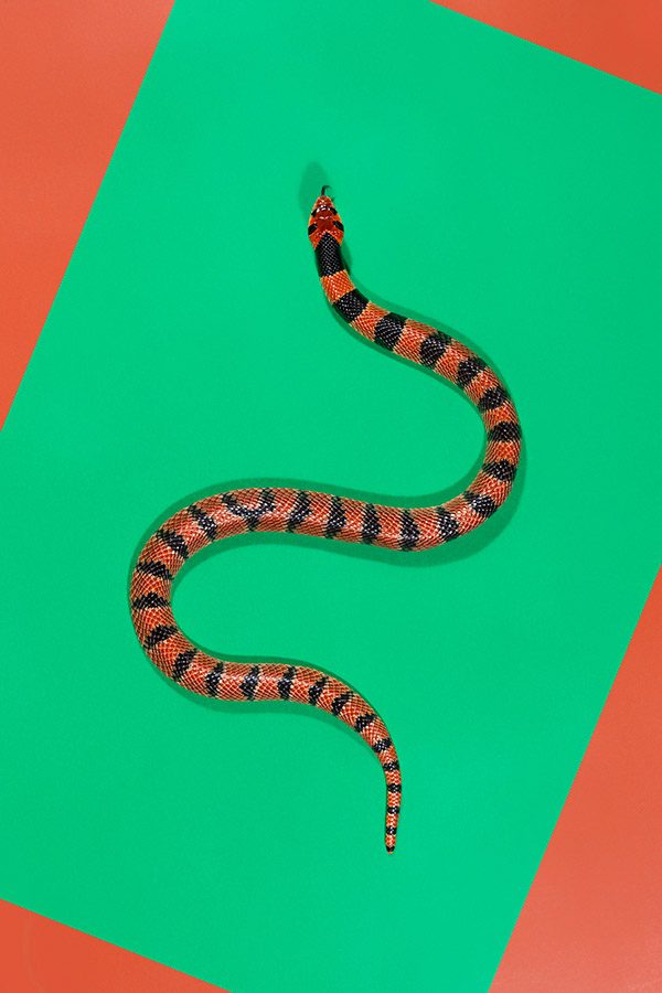 蛇蛇蛇andrewmcgibbon