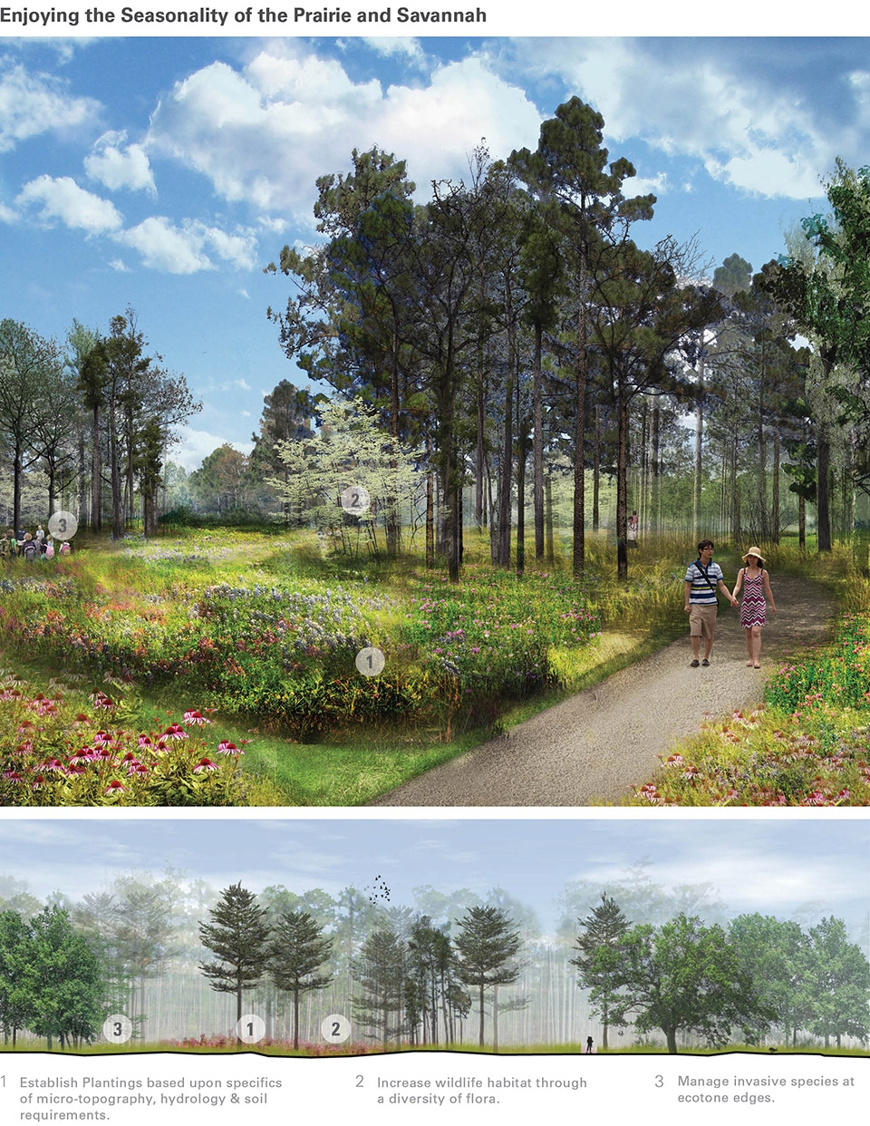 入手困難】Habitat Creation and Repair 植物学 入手困難