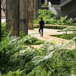 泰国雨林边缘的度假村 / T.R.O.P: terrains+open space