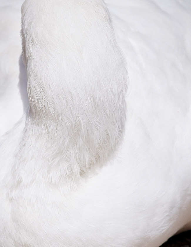 /wp-content/uploads/2015/05/_c_34n5FFXXlQ9p4aYiSxNbvYycFQf-FkyR6iROI9h_WqDP0i6l_W7sHX21ZuZn-w7OftKhn8bDzanzLYJa4PxNkum10tLbu0aa.jpg