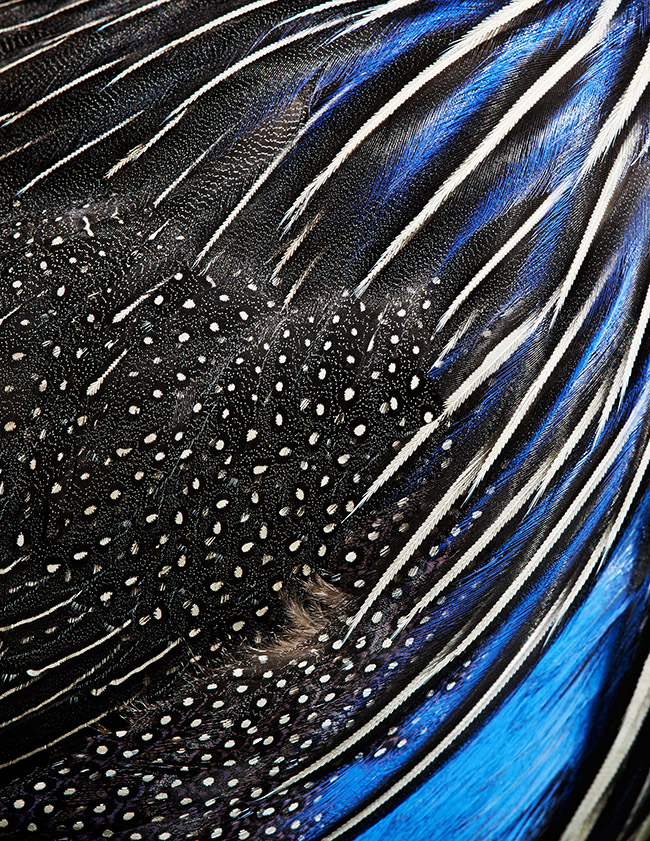 /wp-content/uploads/2015/05/_c_FVUXV1OYUFeRPRWx-w8q_38oQK3s-e5Fbkx1Me_NaXKM_MEqdU3BmEzMYRsiI5ntJ9rlmI0tBHVI17-XYIjhBj6OjVi5yF2x.jpg
