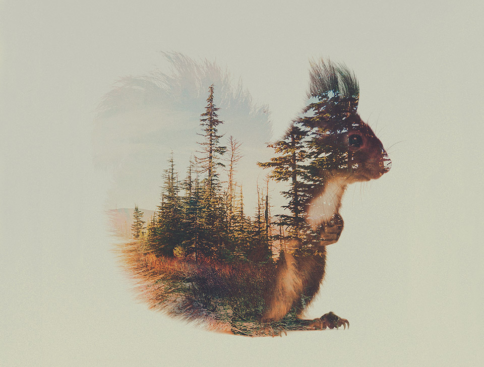 /wp-content/uploads/2015/05/_c_SnXeQ71npdFCtlNyCiMid_VqKRrN4dN6i0BZ0za2XNZOigVycuJ5SJ3469m_dqY27op7oSkqnOggRBpLLB5JpX4VgTDm4Mi9.jpg