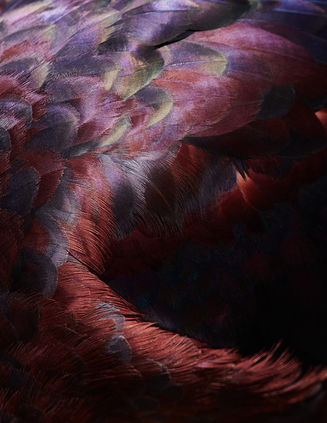/wp-content/uploads/2015/05/_c_nVibpKhQmi3YipSTi8r07aTTBvd_JQuo5_pudLlJxTFvT5QNC5XSQ5j9MHX6EkGlWTPtmJj0G-U7N5S6vzKxvAlmSYafCt8k.jpg