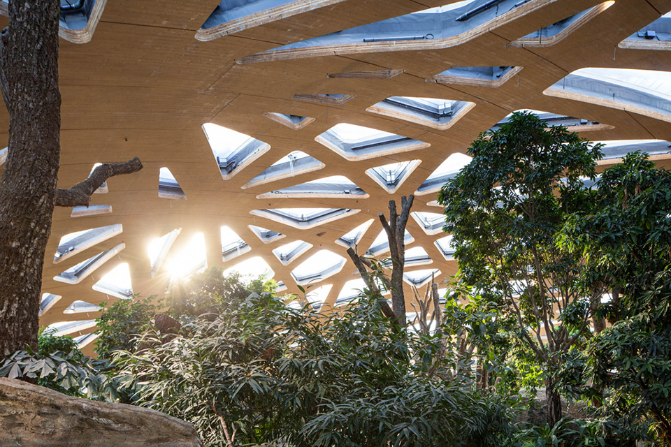 Elephant House Zoo Zürich / Markus Schietsch Architekten 谷德设计网
