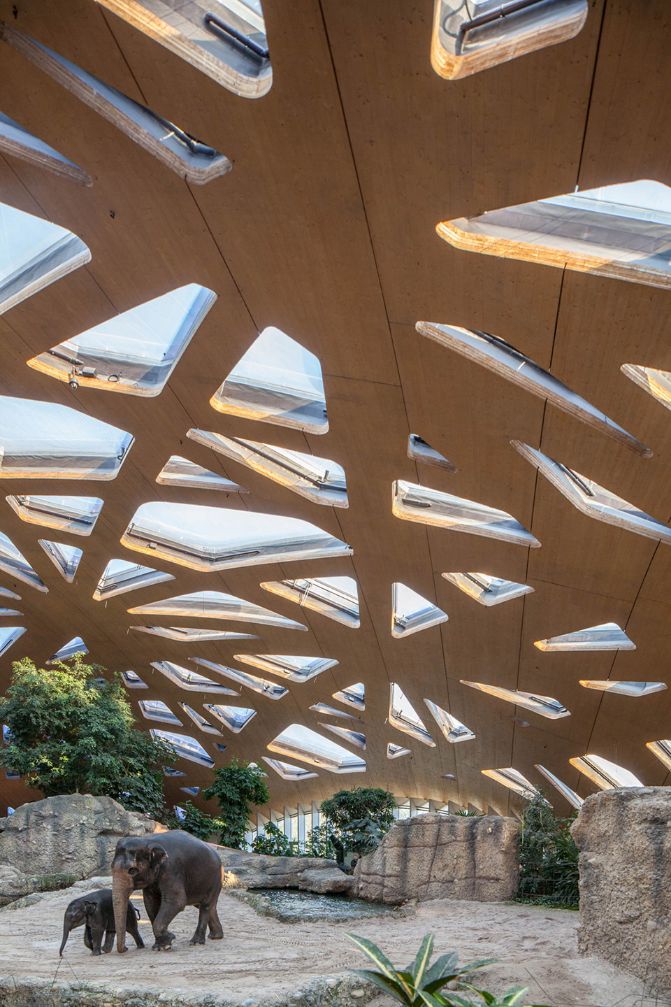 Elephant House Zoo Zürich / Markus Schietsch Architekten 谷德设计网