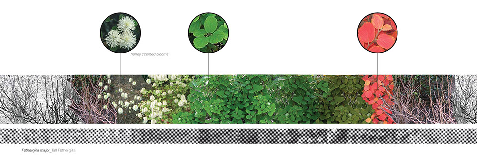 2014 asla:植物季相研究项目