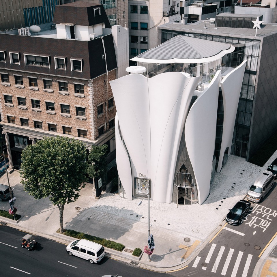 版权Nicolas Borel
