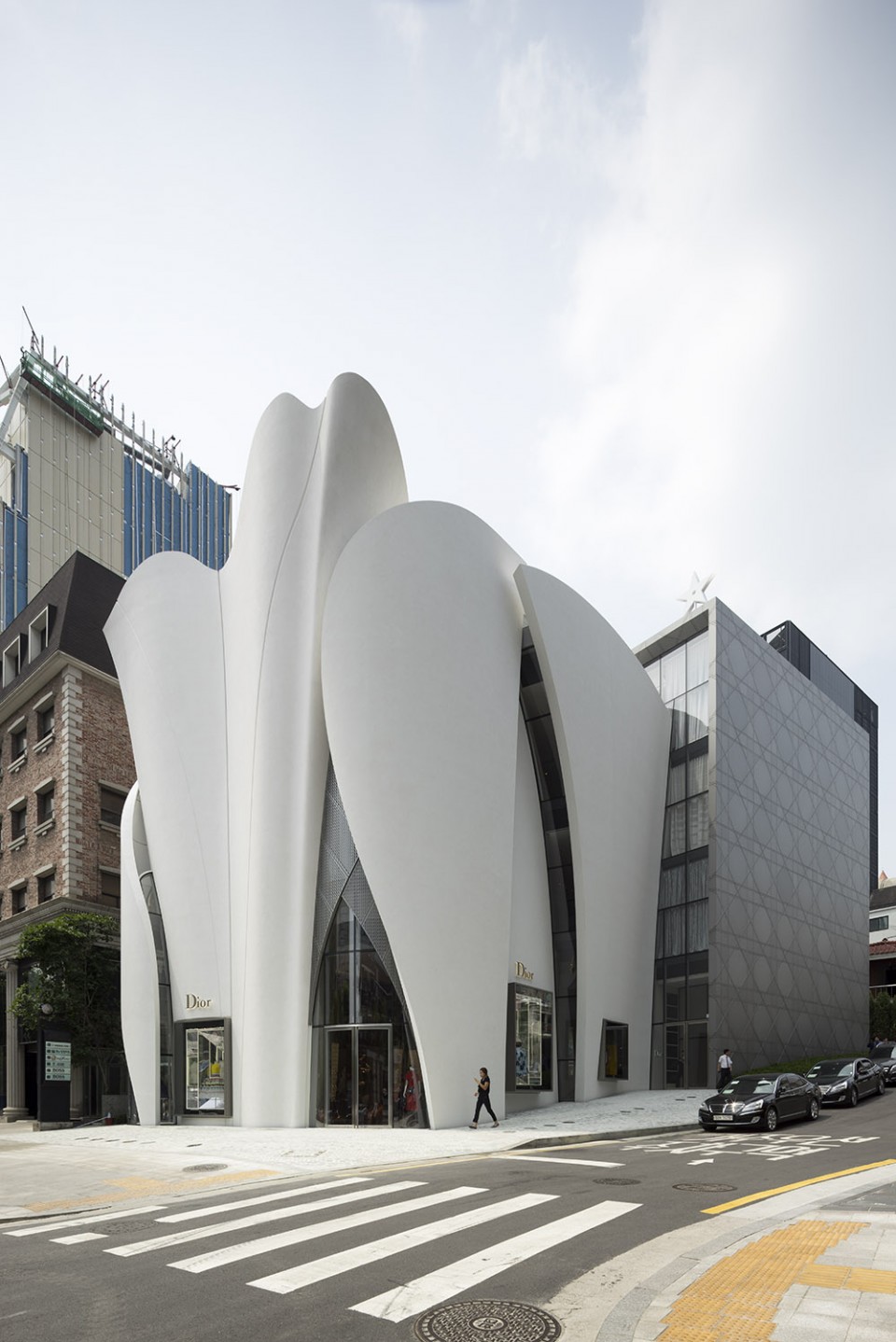 版权Nicolas Borel