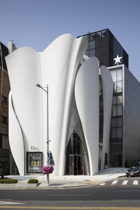 版权Nicolas Borel