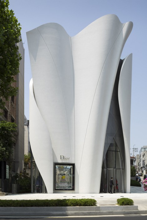 版权Nicolas Borel