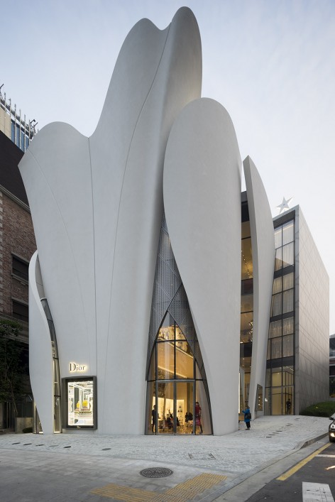版权Nicolas Borel
