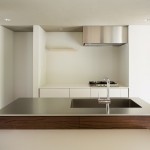 富士山上的折顶屋，日本 / Hiroki Tominaga – Atelier