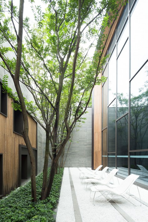 版权 Masao Nishikawa