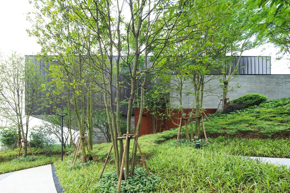 版权 Masao Nishikawa