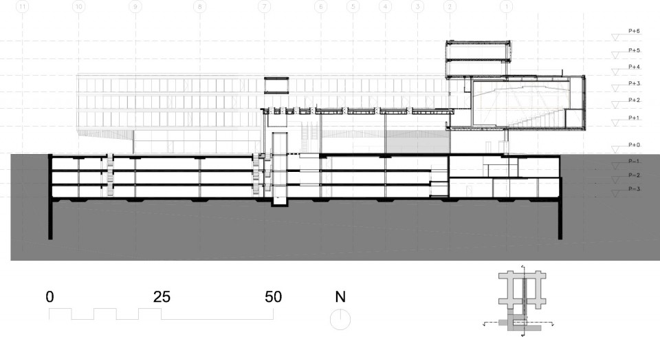 版权 Mateo Arquitectura: LONG SECTION