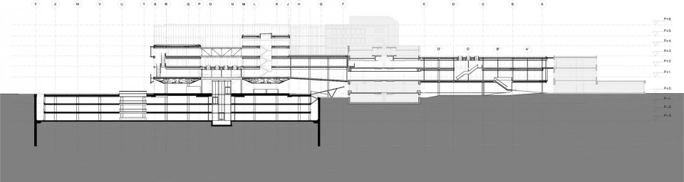 版权 Mateo Arquitectura: SECTION