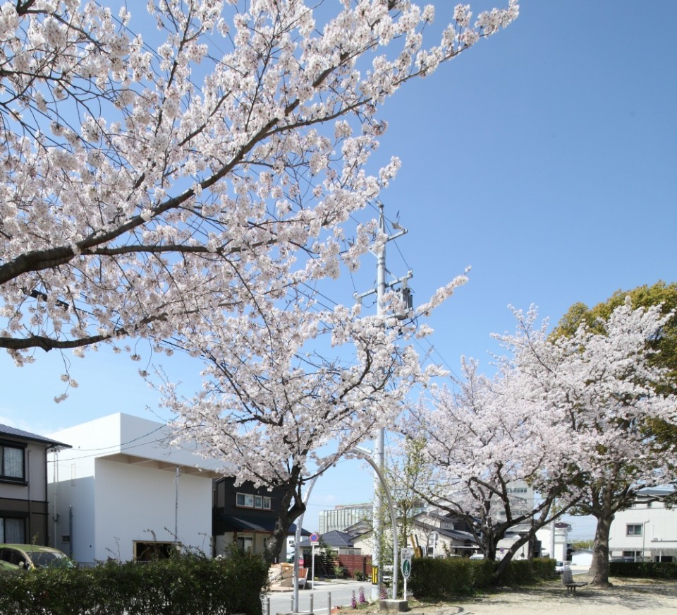 版权Katsutoshi Sasaki + Associates