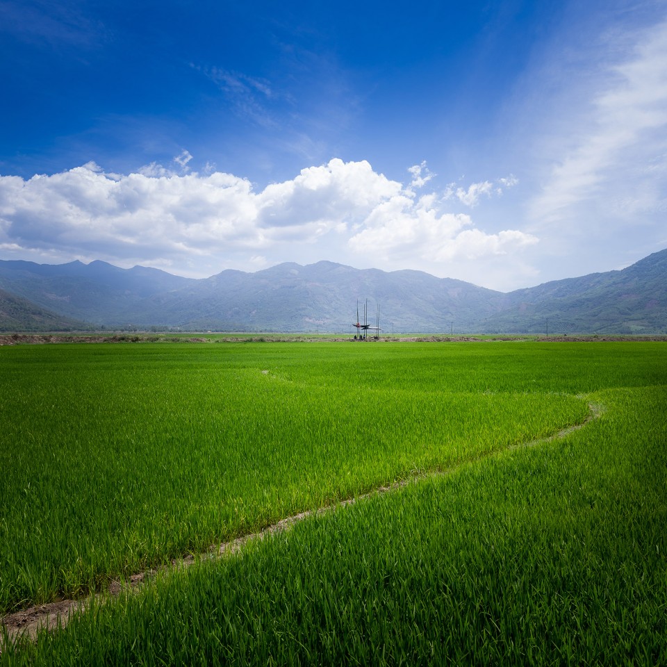 001 The Hut, Nha Trang city, Vietnam by a21studĩo (1)