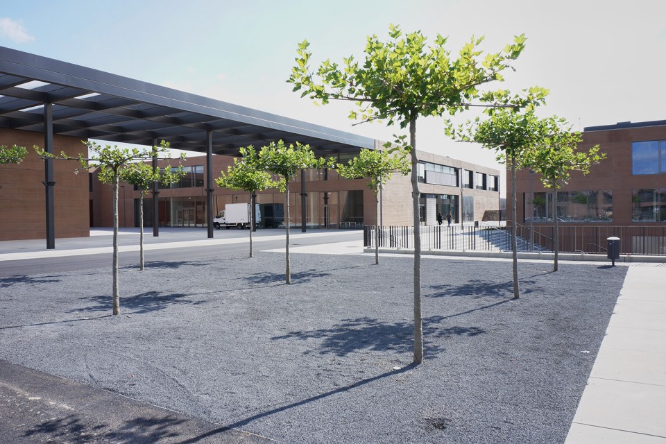 004-RSAA’S European School Campus No. II (11)