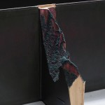 微观书雕 / Guy Laramée