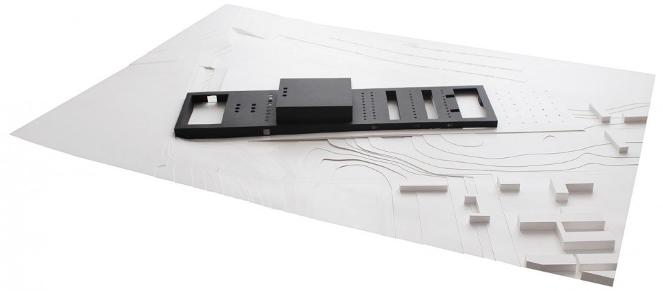 Model 模型