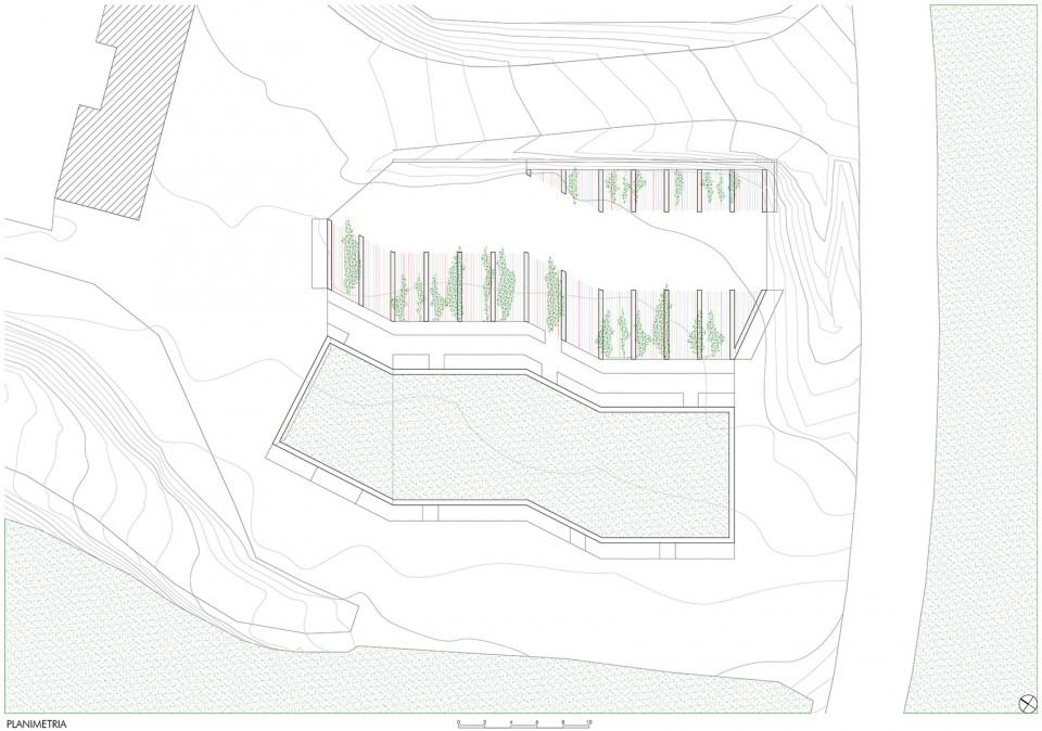 Site Plan 总平面