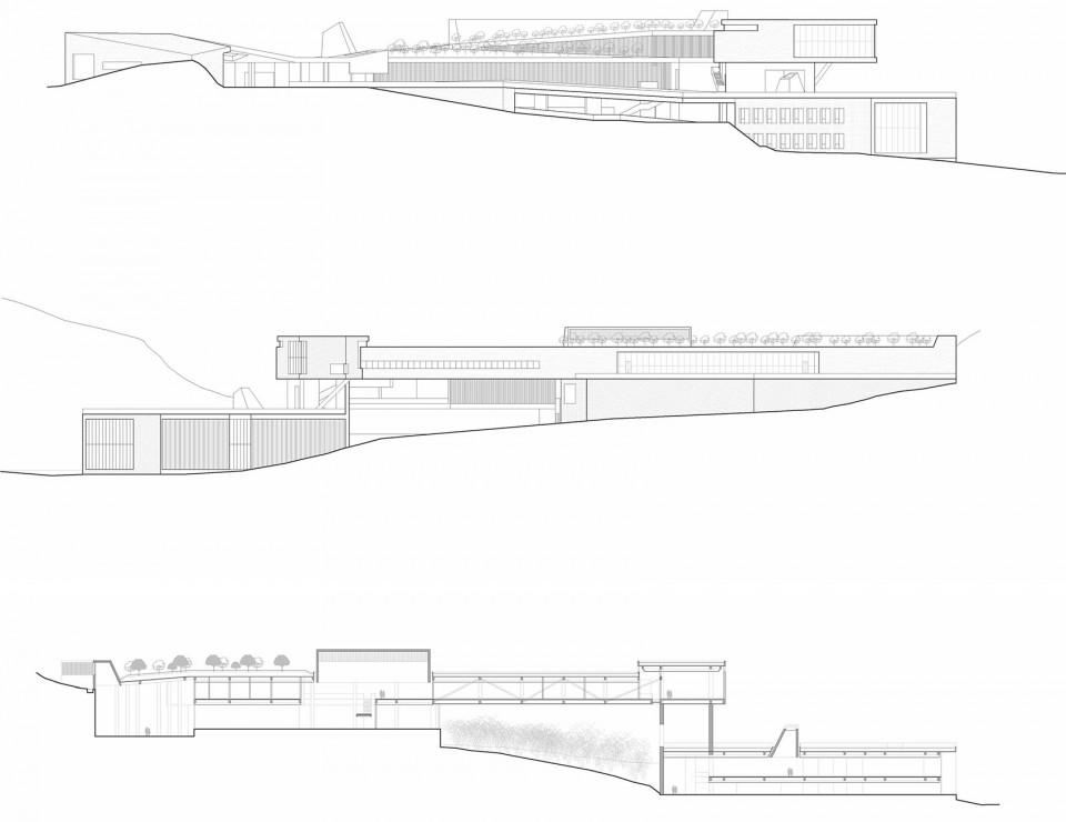 Elevation and Section 立面与剖面