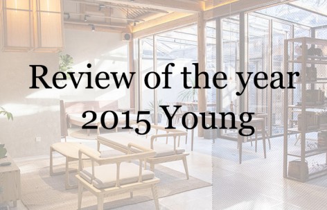 Review of the year – 2015 Young