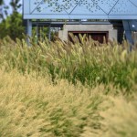 Hometown——The 10TH CHINA(WUHAN) INTERNATIONAL GARDEN EXPO BY ZCHY
