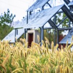 Hometown——The 10TH CHINA(WUHAN) INTERNATIONAL GARDEN EXPO BY ZCHY