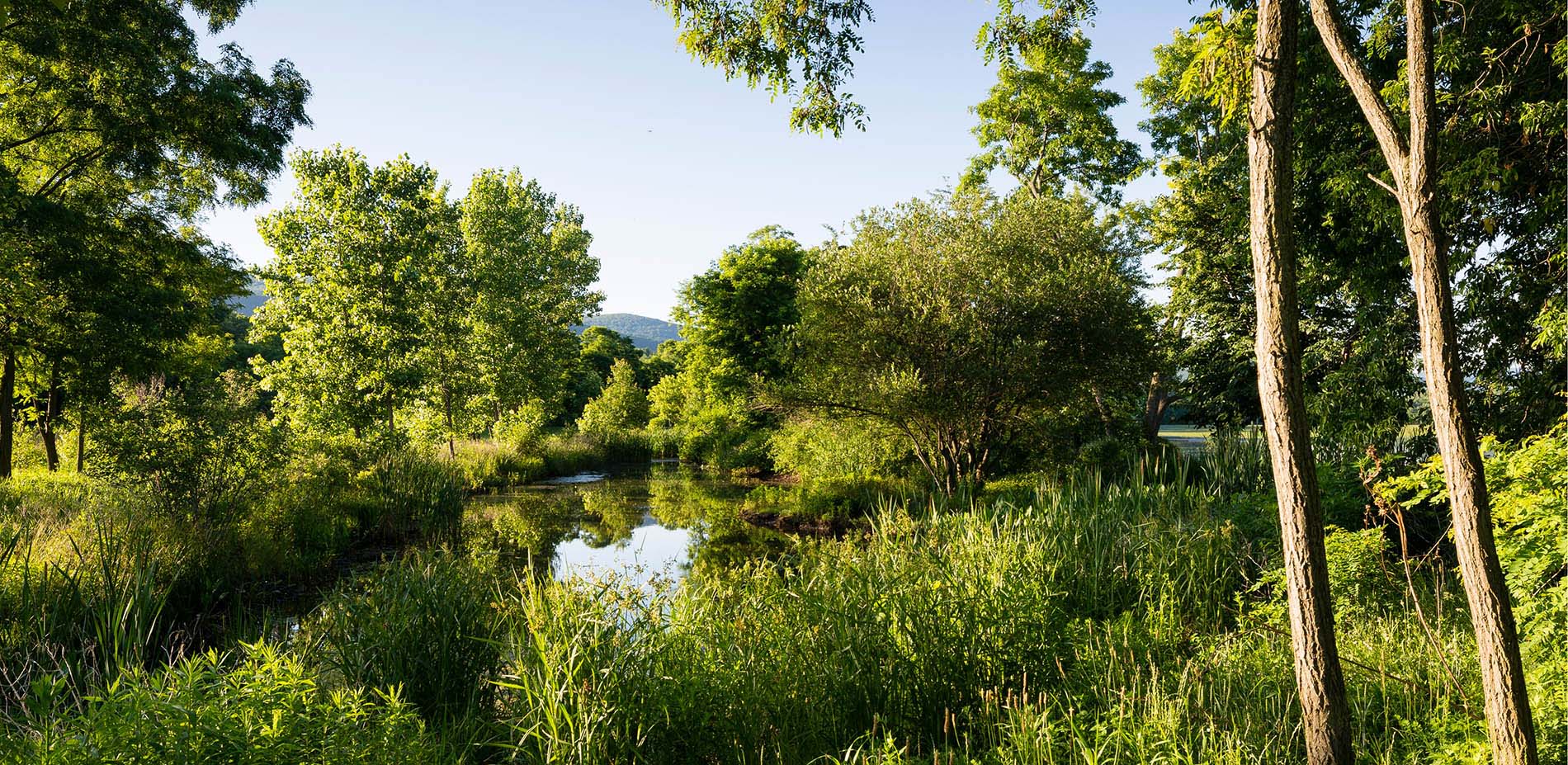 ASLA GENERAL DESIGN AWARD OF EXCELLENCE Long Dock Park by Reed
