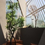 Kyeong Dok Jai住宅，韩国 / IROJE KHM Architects