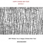 来自朋友们的贺卡 Holidays cards (Chinese New Year, New Year, Christmas) from our readers
