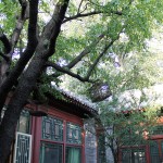 信步辑 – 胡同里的办公室 – 平行世界