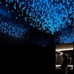 Dii Wellness Med Spa By Department of Architecture